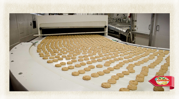 Sassellese in fabbrica canestrello step 2