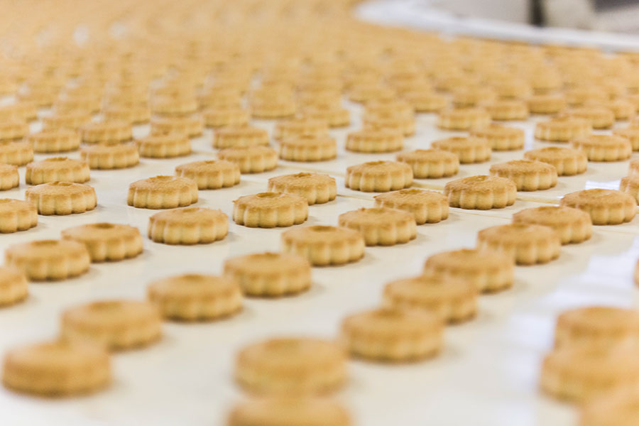 canestrellini sassellese