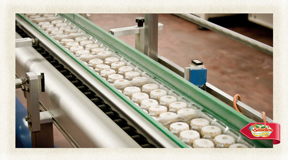 Sassellese in fabbrica canestrello step 5